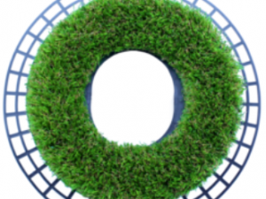 Grasscalm Rasenkante R27 für Fußballtor - 126x106mm oval - Artikel-Nr. 1.200-12