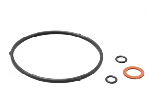 Honda Dichtungssatz passend für Vergaser von Stromerzeuger (EU 10i / 1001) - Artikel-Nr. 16010 ZM7 D01