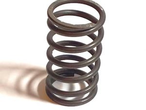 Feder passend für Eicher Motor EDK / EDL Stößelrohr - Artikel-Nr. 1620006M1