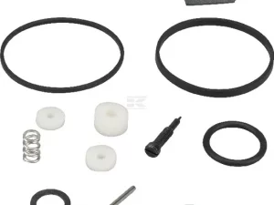 Briggs & Stratton 498260 Vergaser-Überholungssatz