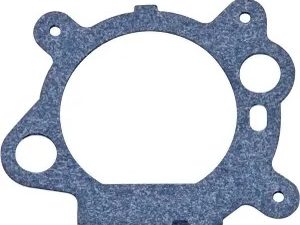 Briggs & Stratton 795629 Luftfilterdichtung