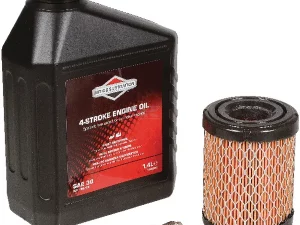 Briggs & Stratton Modell 21 992242 Wartungssatz