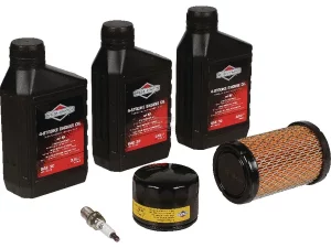Briggs & Stratton Modell 31 992243 Wartungssatz