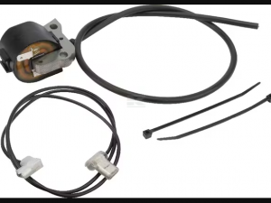 AS Motor G00180092, E10844 Zündanker Zündspule kpl.