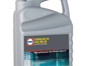 OEST Longlife III SAE 5W-30 Motoröl 5Liter 5W30