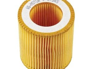 AS-Motor Original Luftfilter für Benzinrasenmäher - E07545ASM